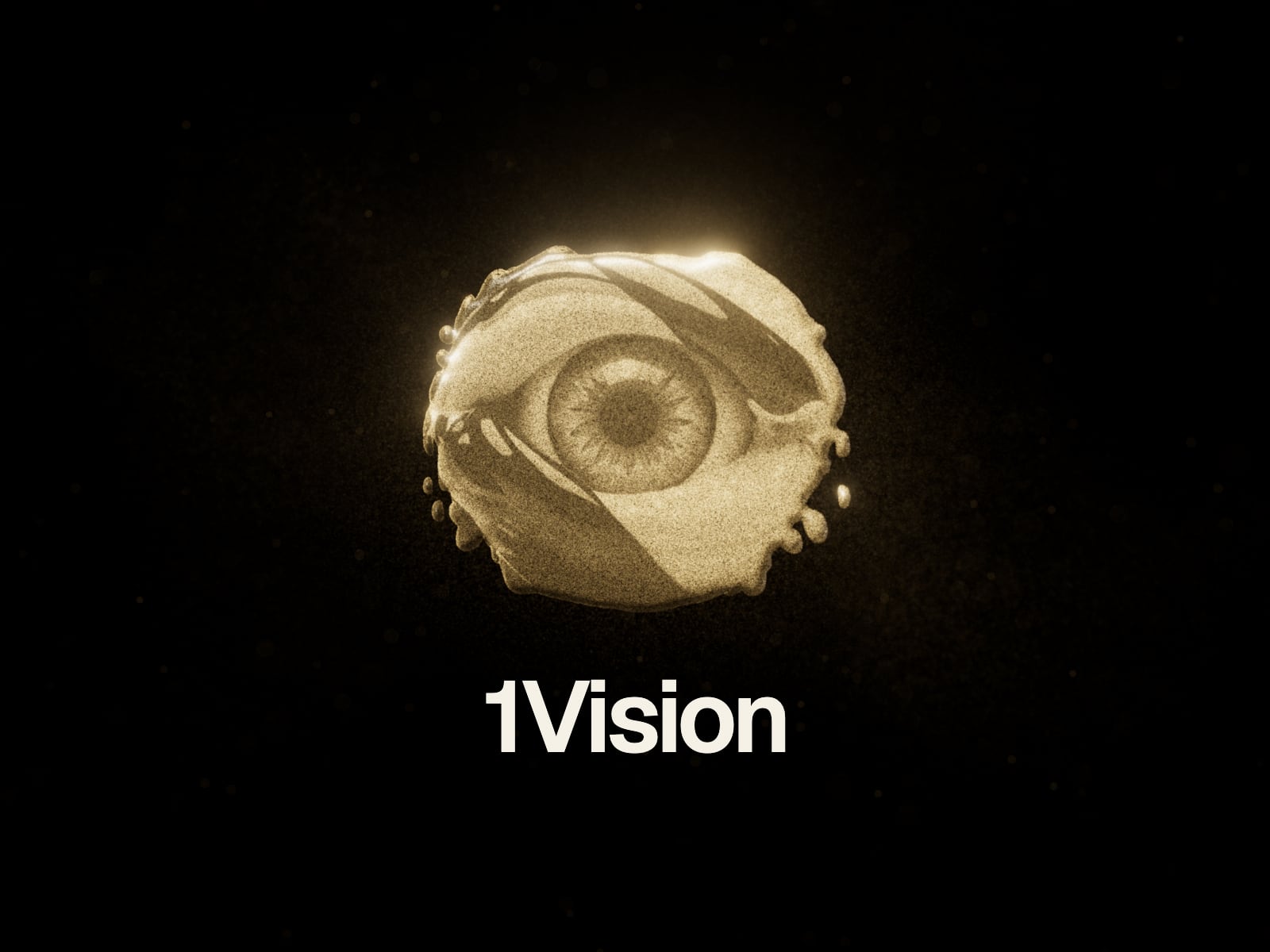 1Vision